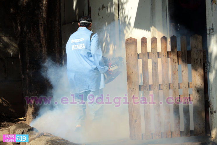 Jornada de fumigaci&oacute;n.